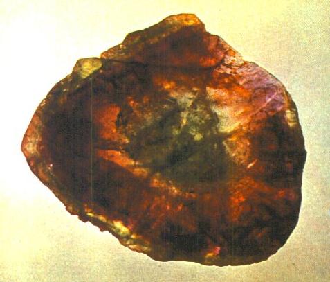 TURMBI.jpg (28920 bytes)