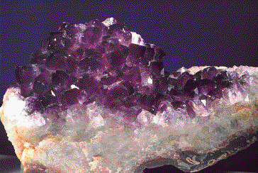 amatista.gif (49865 bytes)
