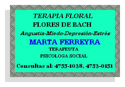 floresgrande.gif (38331 bytes)